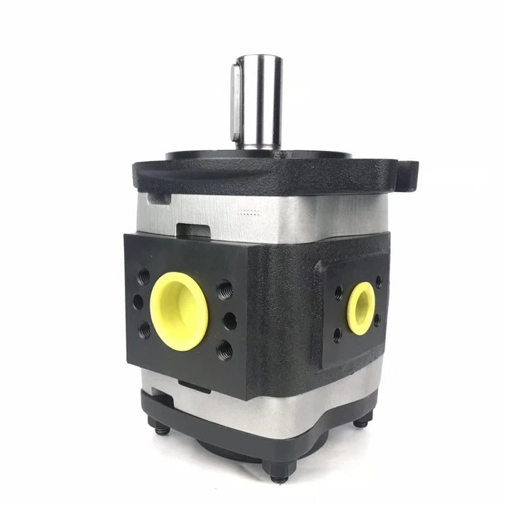 IPVAP5 Germany IPV IPVAP 5-50-101 Series Hydraulic Internal Gear Pump Oil Pump